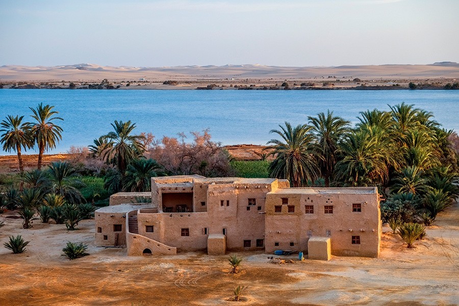 Safari in Siwa for 3 Days