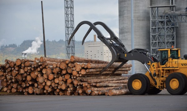 Log storage at the Port of Longview, WA