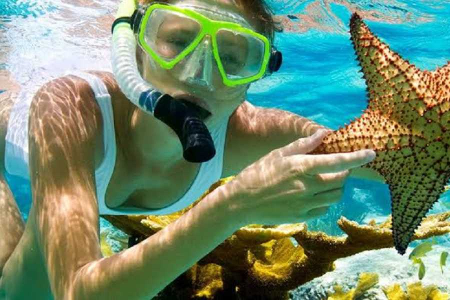 Private Snorkeling Adventure from El Gouna