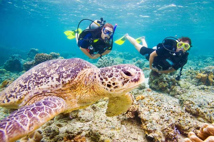 Private Scuba Discovery from El Gouna