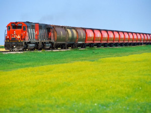 https://www.ajot.com/images/uploads/article/cn-grass-commodity-rail.jpg