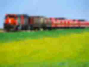 https://www.ajot.com/images/uploads/article/cn-grass-commodity-rail.jpg