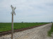 image_1:description