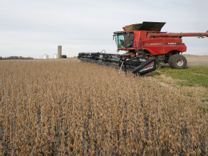 https://www.ajot.com/images/uploads/article/TRADE-SOYBEANS.JPG