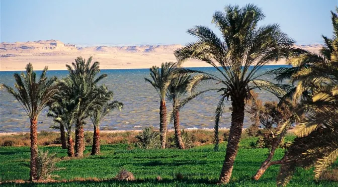 3-Day Tour to El Fayoum